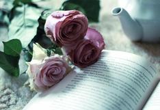 Por qué el 23 de abril se regala un libro y una rosa   