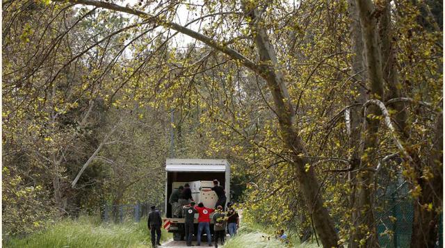 Así transportaron a los animales hasta su nuevo refugio.(foto: reuters)