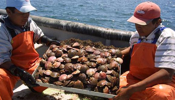Piura y Tumbes destacan como los dos departamentos con mayores exportaciones provenientes de la acuicultura.