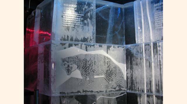 La entrada al bar cuesta 195 Coronas suecas (US$ 21) para adultos y 95 Coronas (US$ 10) para niños y adolescentes. Los huéspedes del hotel solo pagan 160 Coronas (US$ 17). (Foto: Gestión)