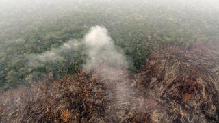 Deforestación de la Amazonia brasileña retrocede desde un máximo de 15 años