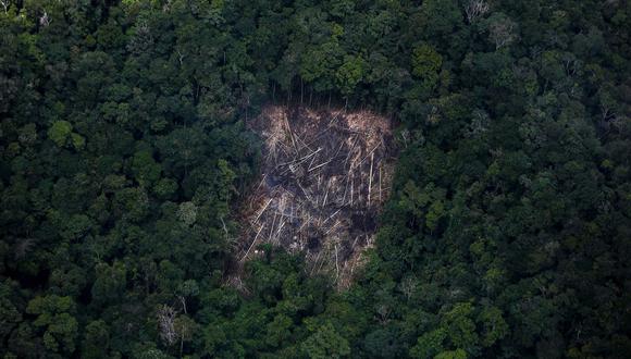 Un área deforestada de la selva amazónica en el estado de Roraima, Brasil. Fotógrafo: Michael Dantas/AFP/Getty Images