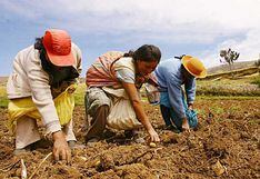 Minagri reestructura fondo Agroperú para acelerar créditos a pequeños productores