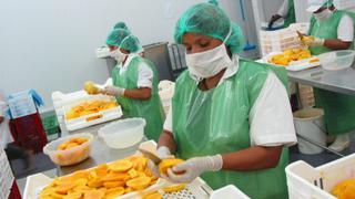 Exportaciones peruanas de mango caen casi un 35%