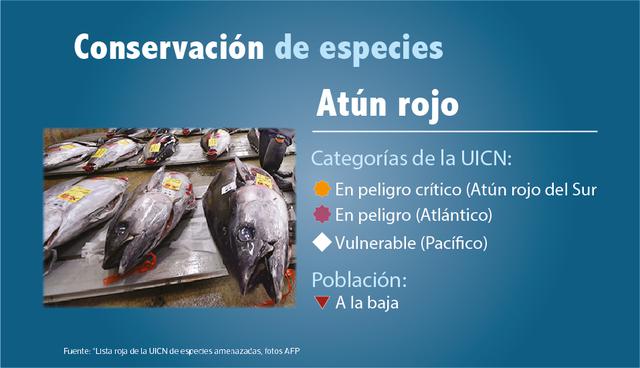 Conservación de especies