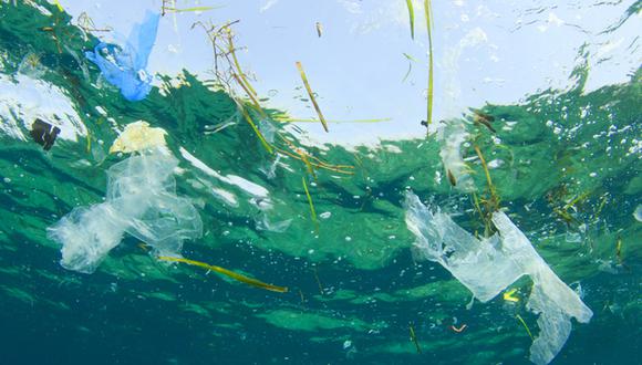 FOTO 5 | 5. Limpieza del océano.
El mundo oceánico está siendo invadido por el plástico, es un hecho. De ahí que la limpieza del océano sea una de las medidas más importantes a la hora de establecer un nuevo calendario anticontaminación. Debido principalmente a la ingente cantidad de plásticos que hay ahora mismo flotando sobre el Pacífico; que, según los expertos, tiene el mismo tamaño que Francia. (Foto: Difusión)
