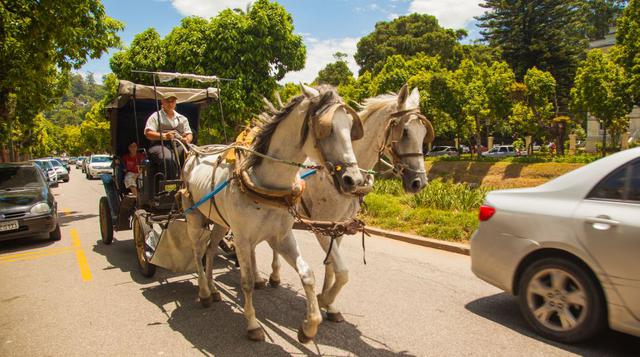 El turista que viene a Petrópolis tiene el ir de compras. Conocido como el centro comercial al aire libre más grande de Brasil, la Calle Teresa ofrece lo mejor en ropa y accesorios de moda. En Bingen, la oferta es variada: muebles y telas de tapicería, pr