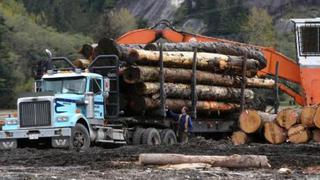 EE.UU. concluye que Canadá le vende madera a precio de dumping