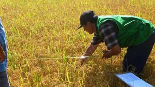 La Positiva espera crecimiento de 20% en pólizas del seguro agrícola este año