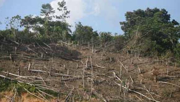 Deforestación (Foto referencial)