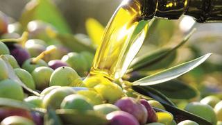 Productores de olivo en Perú alistan récord de envíos de aceite de oliva ante escasez de girasol