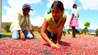 La pequeña agricultura es cada vez más afectada por el cambio climático