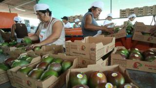 Exportaciones agrarias sumaron US$ 1,716 millones en primer semestre