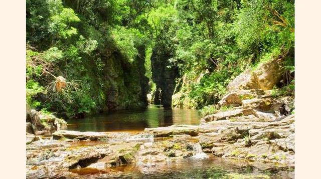 El Parque Nacional de Tsitsikamma forma parte de la famosa "Ruta Jardín" de 80 kilómetros. Limita al norte con las montañas de Tsitsikamma y al sur con el Océano Índico. Este parque es característico por sus gargantas profundas, cascadas, reserv