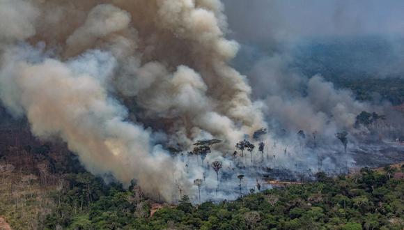 La sabana brasileña, la gran olvidada de los incendios en | MUNDO | GESTIÓN