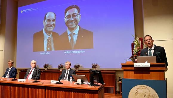 Los miembros del Comité Nobel se sientan frente a una pantalla que muestra a los ganadores del Premio Nobel de Fisiología o Medicina 2021 David Julius y Ardem Patapoutian, durante una conferencia de prensa en el Instituto Karolinska en Estocolmo, Suecia, el 4 de octubre de 2021.  (Foto: Jonathan NACKSTRAND / AFP)