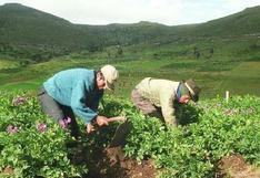 ONU: Economía verde podría crear millones de empleos, pero no para los agricultores