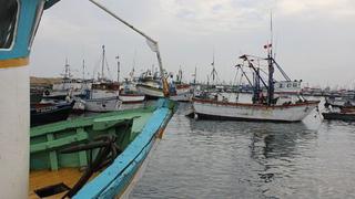 Produce inició la protección de recursos pesqueros dentro de las cinco millas