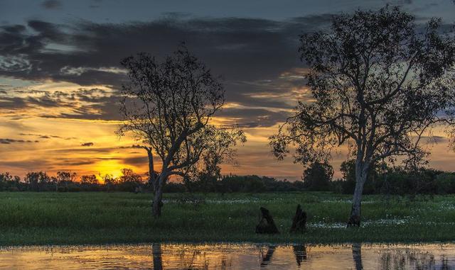 Foto 30 | Donde: Territorio del Norte, Australia. Michaela Guzy, una ejecutiva de medios de comunicación, comenta: “Puede ser costoso llegar al Territorio del Norte de Australia, pero la inversión de dinero y tiempo vale la pena para experimentar este destino único en la vida. El Territorio del Norte de Australia es mejor conocido por el paisaje natural más famoso de Australia, el Parque Nacional Uluru-Kata Tjuta, Patrimonio de la Humanidad, que abarca 311,000 acres de naturaleza virgen. El centro espiritual de Australia, Ayer's Rock, está iluminado por la instalación inmersiva del artista internacionalmente aclamado Bruce Munro, "Field of Light Uluru". La exposición ha sido tan popular desde que se lanzó en abril del 2016 que el artista acordó mantener la instalación abierta hasta el 31 de diciembre de 2020. Voyages Indigenous Tourism Australia gestiona de manera sostenible Ayers Rock Resort en nombre de la Corporación de Tierras Indígenas, y todas las ganancias del negocio se destinan a apoyar la capacitación y el empleo indígena en toda Australia. ¿Safari en Australia? ¿Qué es lo que dices, amigo? El terreno geográfico diverso del Territorio del Norte permite a los viajeros ir desde el Outback hasta el Top End tropical, que experimenta algunos de los extremos climáticos dramáticos de cualquier región de Australia. Las llanuras aluviales costeras son la respuesta de Australia al delta del Okavango y las tierras de Kakadu y Arnhem son el corazón de la cultura indígena. Hospédese en Kakadu Lodge y Caravan Park por tan solo US$ 78 por noche, donde podrá ahorrar su dinero para el máximo placer: una estadía en la valiosa colección de Bamurru Plains, un campamento de arbustos en el borde del Parque Nacional Kakadu”.