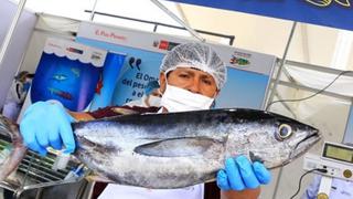 Finaliza veda del bonito y Produce autoriza pesca exploratoria del recurso