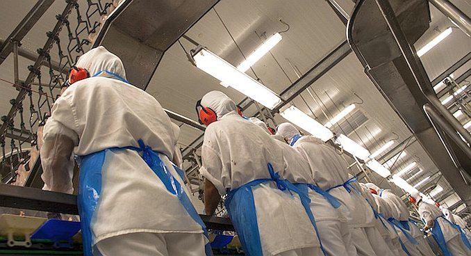 Trabajadores de avícola. (Foto referencial: Difusión)