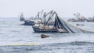 Desembarque de recursos pesqueros superó niveles prepandemia en 2021 con 6.5 millones de toneladas