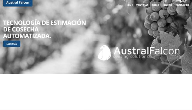 FOTO 3 | Austral Falcon (Chile). Austral Falcon es una empresa de desarrollo de soluciones tecnológicas orientadas a la agricultura. La startup apunta a una recolección de uva más eficaz y eficiente así como determinar la cantidad de producción antes de la cosecha.