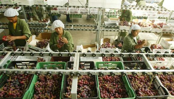 "El IPE estimó que, entre 2009 y 2022, la suma de todos los salarios del sector agroexportador creció casi tres veces más que la masa salarial vinculada a la agricultura tradicional".