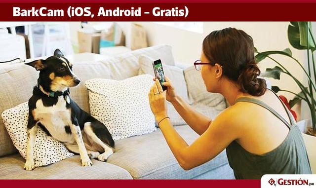 BarkCam es una divertida aplicación pensada para ayudarle a tomar las mejores fotos de su mascota. Elija un sonido para llamar la atención de su cachorro y lograr que mire al teléfono en el momento justo. Puede también añadir filtros y texto.