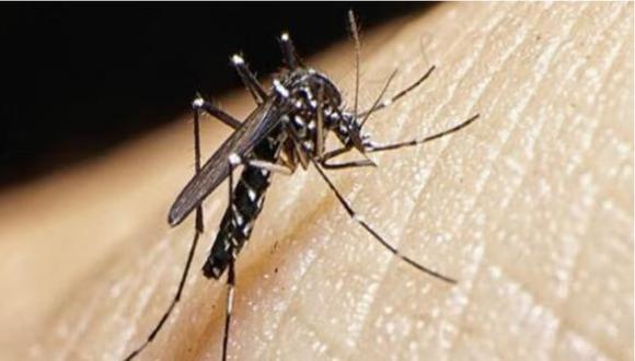 Según el Ministerio de Salud, en el país ya había registrado el año pasado 1,6 millones de casos de dengue, un número en un 15.8% superior al de 2022, y un récord de 1.094 muertes por la enfermedad. (Foto: Andina)