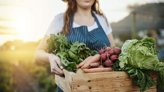 Startup chilena que impulsa oferta de productores locales se expande a Perú