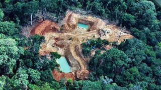 Perú perdió 164,662 hectáreas de bosques húmedos amazónicos por deforestación
