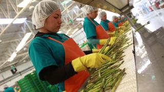 La agroexportación peruana creció un 6.7% y sumó US$ 1,708 mlls. en enero-julio