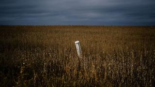 La agricultura ucraniana, frente al desafío logístico y en liderazgo mundial