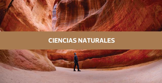 Estas son las mejores universidades