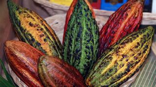 Ventas al exterior del cacao peruano caen ante menores envíos a EE.UU. y la UE 