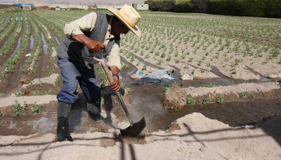 María Antonieta Alva dijo que entregarán créditos a pequeños productores con tasas de 3.5% a través del Fondo Agroperú. (Foto: GEC)