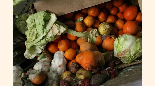 El desperdicio de alimentos es un problema grave y global. En el mundo, se desperdicia hasta el 50% de alimentos. (Foto: Getty)