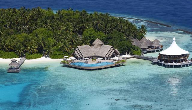 FOTO 15 | Baros Maldives, Baros Island, Maldivas. Baros es un paraíso natural con un dosel exuberante isla, a solo 25 minutos en lancha rápida desde el aeropuerto internacional de las Maldivas.(Foto: tripadvisor)