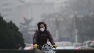 La contaminación del aire acorta esperanza vida unos 20 meses a niños de hoy