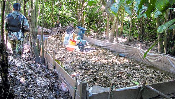 En el Vraem se siembran 24,000 hectáreas de las 49,000 de hoja de coca ilegal que existe en el país.