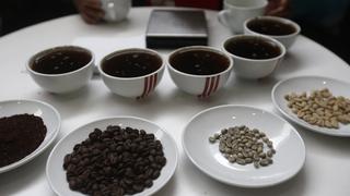 Café peruano: producción crecería hasta 8% en 2019, pero continuará en pérdida