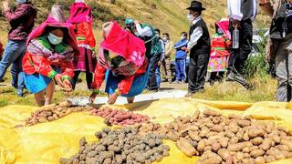 Bolivia cerró el mercado para algunos productos peruanos, alerta Senasa