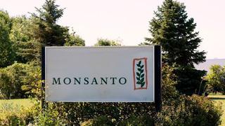 Monsanto reporta ganancias por debajo de estimaciones, negocio maíz decepciona