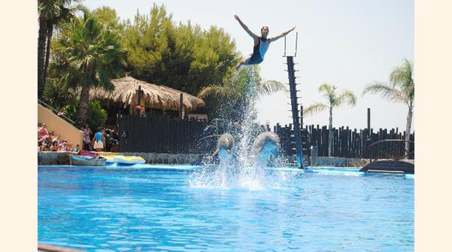 Mundomar, Benidorm, España. “Mucho mas de lo que me esperaba”