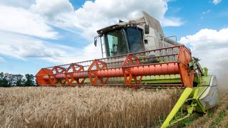 Acuerdo del mar Negro ha sacado 10 millones de toneladas de grano de Ucrania