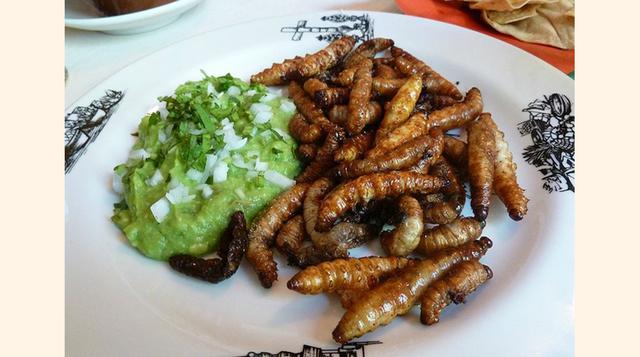 La antigua tradición mexicana de comer insectos se puso de moda en los útimos años y tanto los gusanos como los huevos de hormigas figuran en el menú de varios restaurantes elegantes. (Foto: Getty)