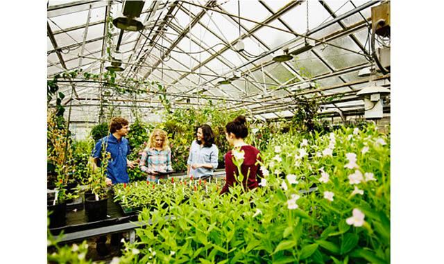 Ecoinnovación. Una tendencia que entronca con la alimentación sostenible, pero que en este caso abarca a todos los sectores. Y se centra fundamentalmente en los procesos de producción. Según el informe Tendencias en Ecoinnovación, presentado por el Labora