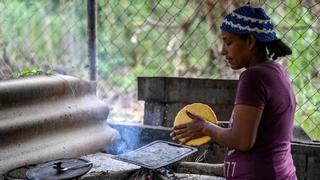 Importar maíz para las arepas, el principal alimento del venezolano