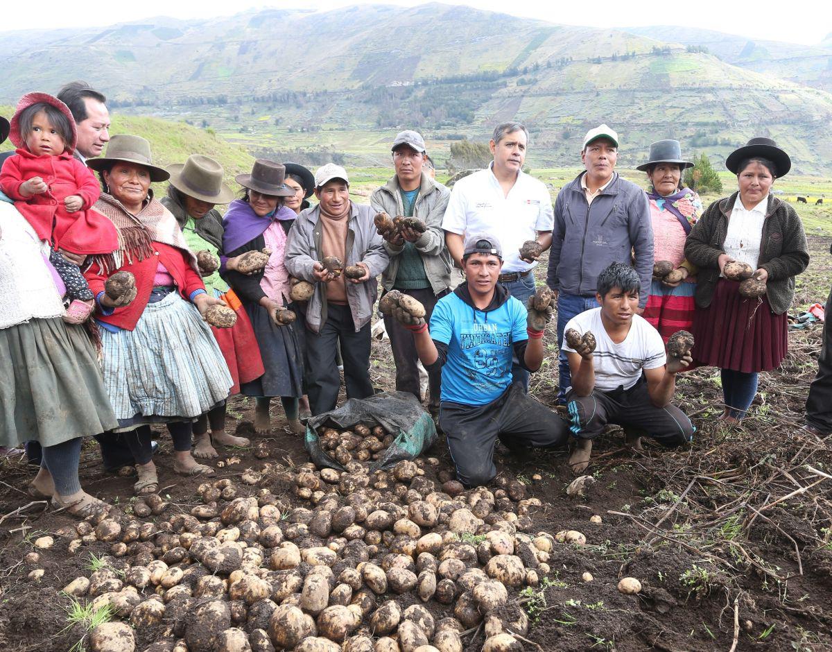 Productores de papa, (Foto: Difusión)